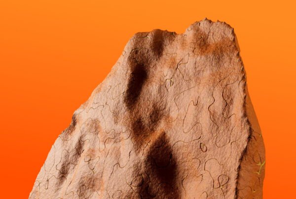 한국과 다른 일본시장